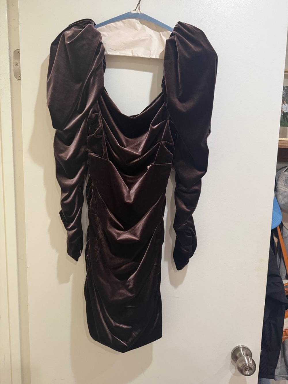 Women’s Eggplant Velvet Ruched Dress with Statement Sleeves
